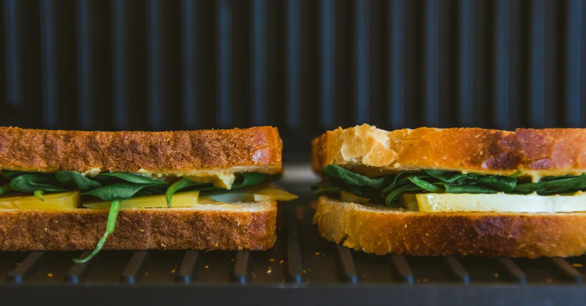 Grilled cheese sandwich