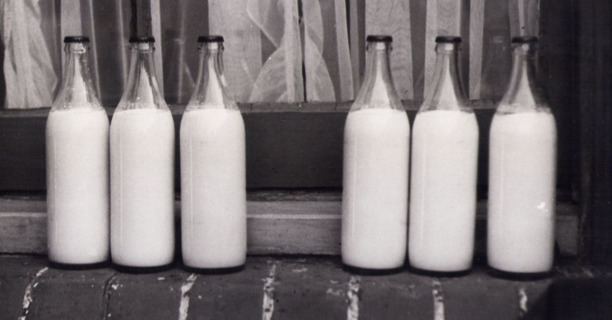 Fresh milk and dairy